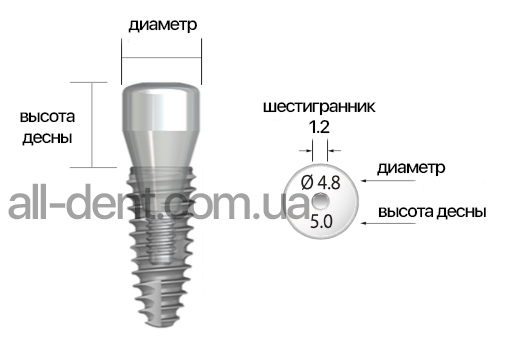 формирователь_десны_neobiotech