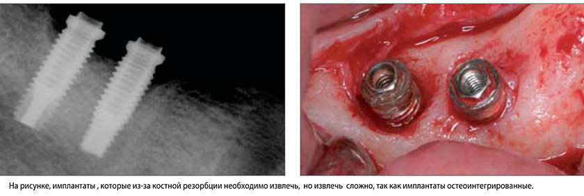 NeoBiotech-8.jpg